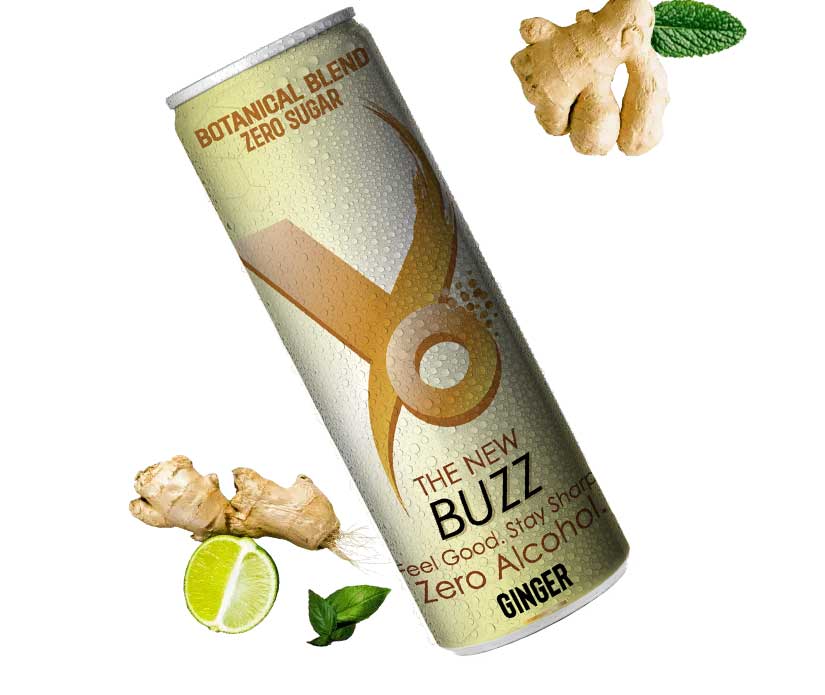 Ginger 4-pack