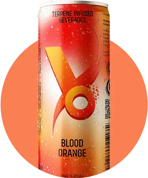 Blood Orange 4-pack