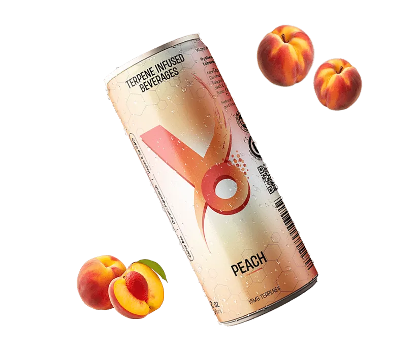 Peach 4-pack